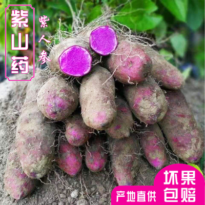 正宗赣南紫山药紫大薯脚板薯脆淮山农家自种蔬菜铁棍山药新鲜现挖