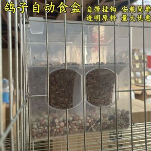 鸽子食槽自动喂食器防撒食盒鸡食槽赛鸽信鸽食槽鸟用食槽防撒食盒