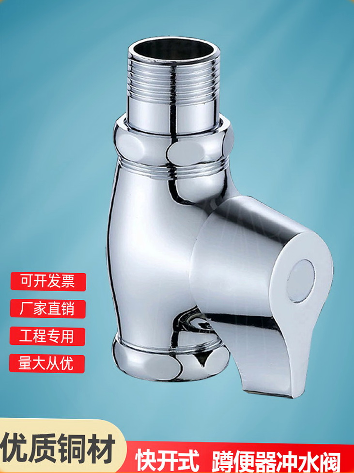 公共卫生间蹲便器按键开关冲洗阀手按式冲水器大便阀自闭式延时阀