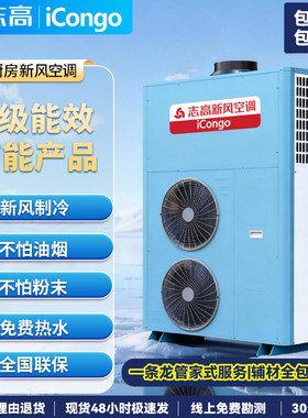 志高新风厨房空调商用大风量大功率制冷量冷风口宾馆酒店后厨专用