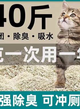 猫砂100斤猫砂第一名南沙猫砂膨土猫砂豆腐猫砂10kg憨仕猫砂 升级