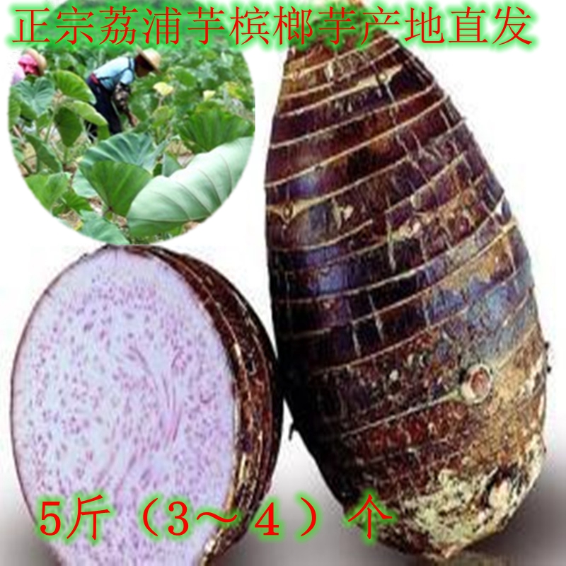 正宗广西桂林特产荔浦芋头新鲜农家蔬菜槟榔香芋毛芋头5斤装包邮