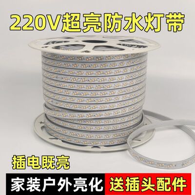 重庆LED灯带高压220v紫光蓝光金黄色白光绿光红光户外防水七彩灯