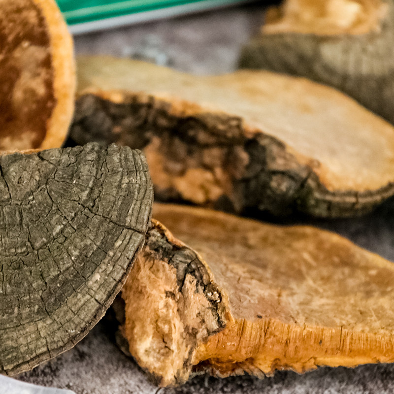 桑黄500g礼盒包邮桑黄茶粉树舌菌桑杨