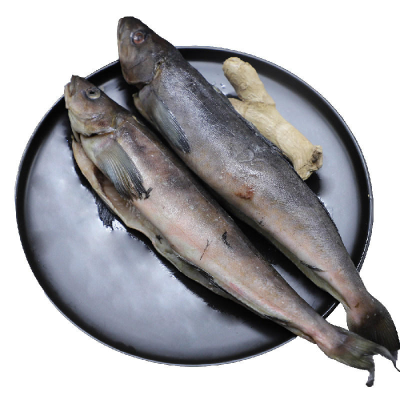 3斤包邮延边特产朝鲜族鱿目鱼冷冻海鲜水产500克由木鱼游牧