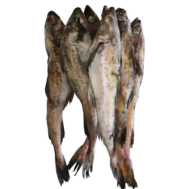 冷冻明太鱼冷冻棒子鱼冰鲜延边朝鲜族美食,水产肉类/新鲜蔬果/熟食,鳕鱼,淘宝优惠券,粉丝福利购,淘宝优惠卷