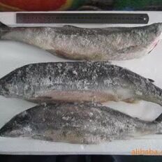 松鱼海鲜海鱼冷冻水产松鱼海水鱼400克