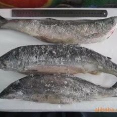 松鱼海鲜海鱼冷冻水产