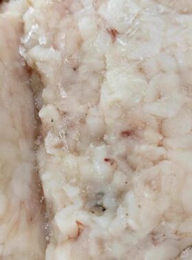 延边朝鲜族特色新鲜明太鱼鱼白冷冻海鲜辣炒铁板韩式风味料理食材