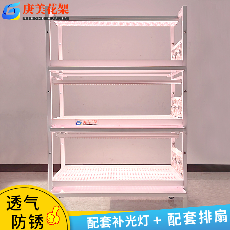 年度热销浇水多肉花架套装不锈钢