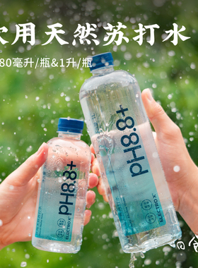 日食记 ELECTROX粒刻饮用天然苏打水380ml*12瓶pH8.8碱性冷矿泉