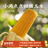 日食记小满点点甜糯玉米东北真空包装 玉米苞米加热即食200g 8根