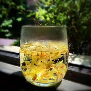 乐清雁荡已山铁皮石斛干花，手工采摘烘干松干花铁皮石斛斛农直销