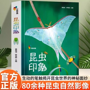 昆虫印象行色自然多样昆虫形态与生活场景画面细腻捕捉昆虫细节色彩贴合自然本真直观感受昆虫的独特魅力沉浸式的自然观察体验