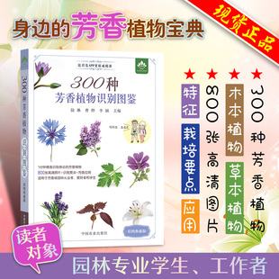 云南省农业科学院花卉研究所 彩图典藏版 300种常见芳香植物分为木本及草本植物两大类 300种芳香植物识别图鉴