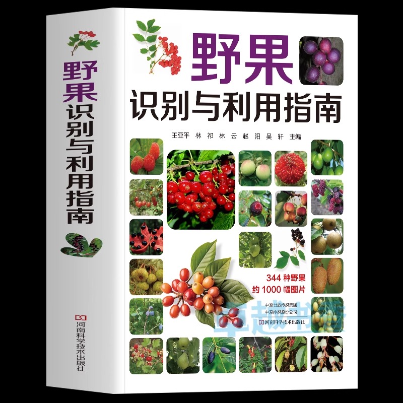野果识别与利用指南涉及2