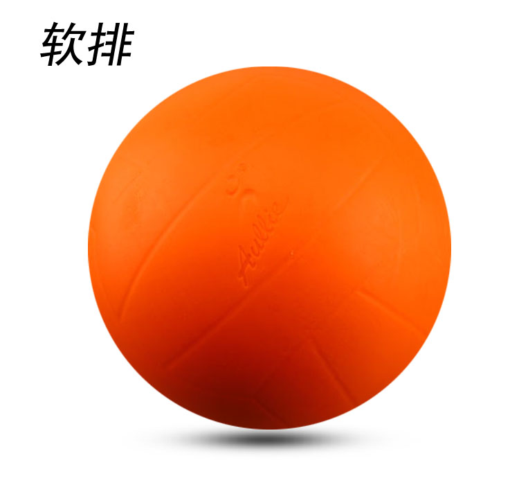 Ballon de volley - Ref 2012834 Image 3
