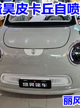 盛昊皮卡丘电动四轮车丽风灰补漆灰色自喷漆汽车划痕修复防锈车漆