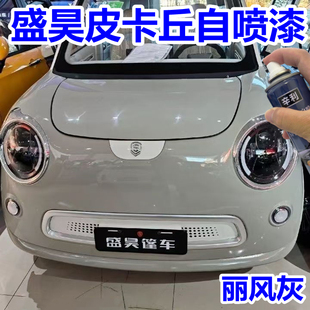 盛昊皮卡丘电动四轮车丽风灰补漆灰色自喷漆汽车划痕修复防锈车漆