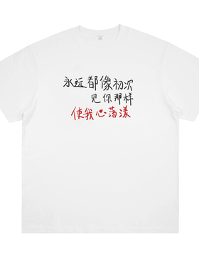赵雷t恤短袖程艾影永远都像初次见你那样使我心荡漾音乐节周边t恤