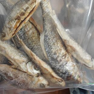 正宗三水鲮鱼干选用佛山市北江高品质的整鱼冬季新晒足干无盐健康