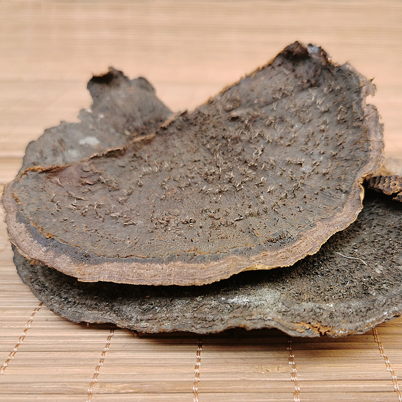 纯野生蜂窝灵芝 整枝蜂窝层孔菌毛蜂窝菌干货250克泡酒药材泡茶