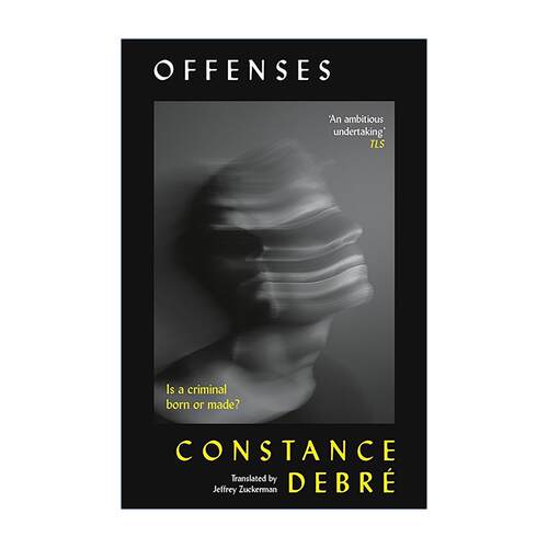 英文原版 Offenses 违罪 法国当代社会现实小说 Constance Debré 底层叙事 制度批判 英文版 进口英语原版书籍