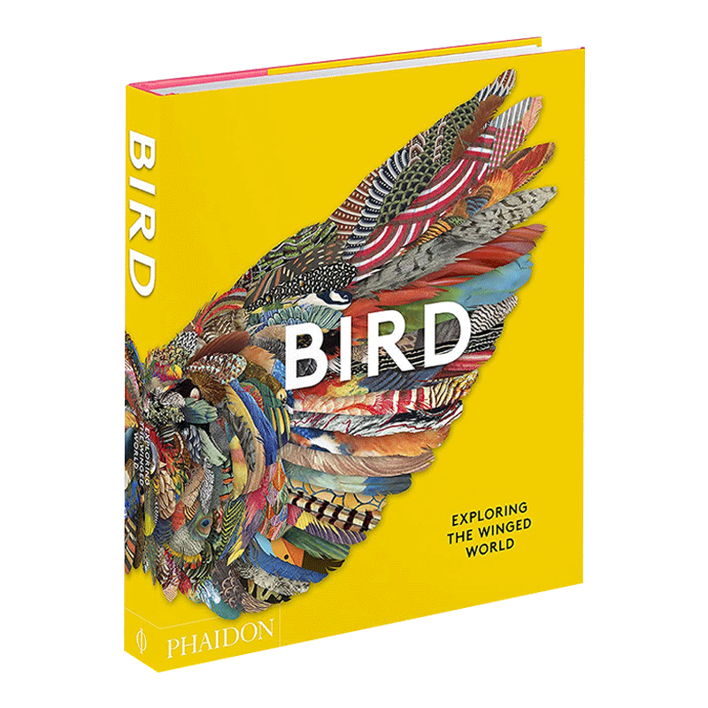 英文原版 Bird Exploring the Winged World 鸟类 探索有翅膀的世界 科学科普图鉴画册 英文版 进口英语原版书籍