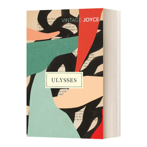 英文原版 Ulysses 尤利西斯 100周年纪念版 安妮 恩赖特作序 英文版 进口英语原版书籍 英语小说