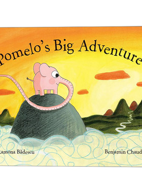 英文原版 Pomelo's Big Adventure 柚子的大冒险 精装儿童绘本 4岁以上 Benjamin Chaud插画 Ramona Badescu 英文版 进口英语原版