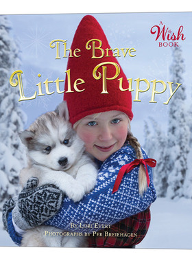 英文原版 Brave Little Puppy A Wish Book 勇敢的小狗 愿望书系列 英文版 进口英语原版书籍
