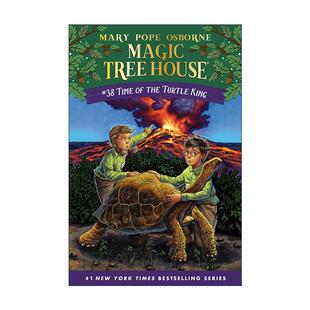 英文原版 Time of the Turtle King Magic Tree House 38 龟王时代 神奇树屋38 英文版 进口英语原版书籍