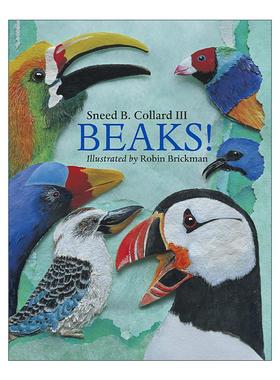 英文原版 Beaks 鸟喙 儿童动物科普百科绘本 Sneed B. Collard III 英文版 进口英语原版书籍