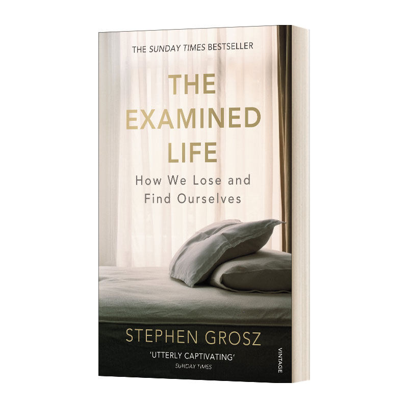英文原版 the examined life 咨询室的秘密 倾听你的人生故事 斯蒂芬