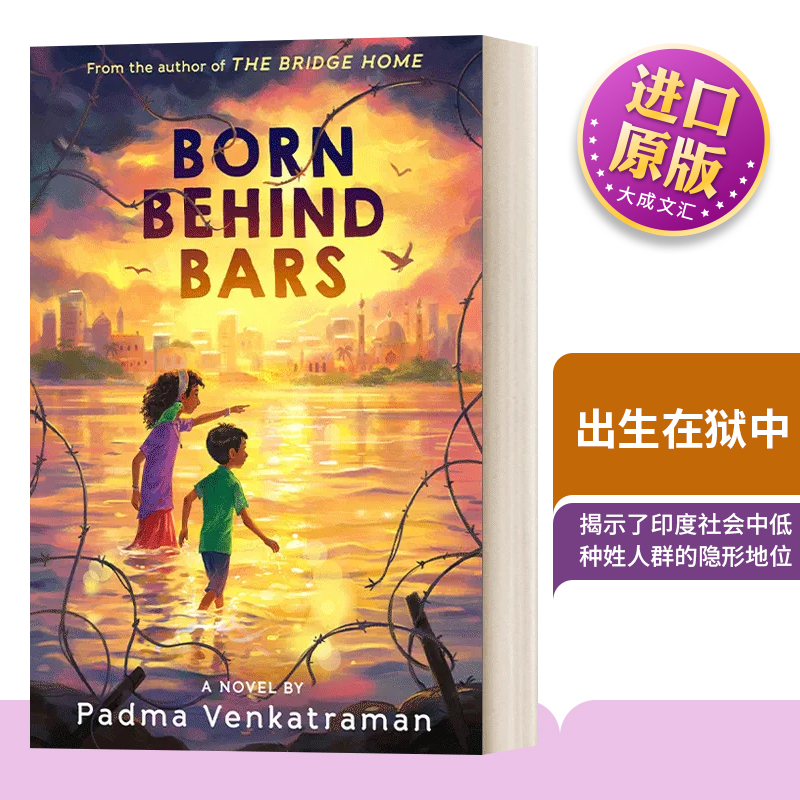 英文原版出生在狱中精装