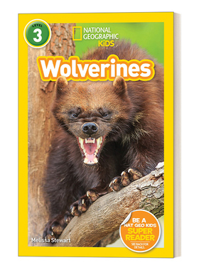英文原版 NG Kids Readers L3 Wolverines 金刚狼 美国国家地理读本 英文版 进口英语原版书籍
