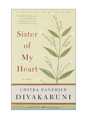 英文原版 Sister of My Heart 我心姐妹 香料情妇作者Chitra Banerjee Divakaruni英文版 进口英语原版书籍