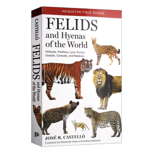 英文原版 Felids and Hyenas of the World 世界猫科动物和土狼 英文版 进口英语原版书籍