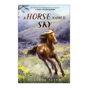 荒野之声系列 野马 英文原版 生存故事 进口英语原版 Named 英文版 Horse 书籍 Sky 动物主题插图小说 精装