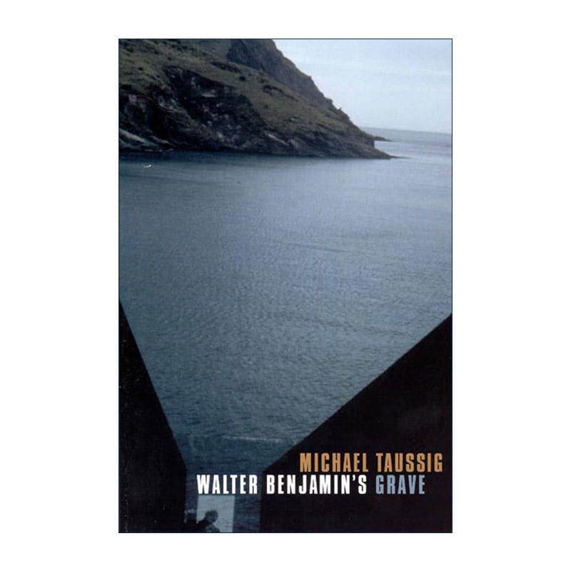 英文原版 Walter Benjamin's Grave 本雅明之墓 一场人类学写作实验 哥伦比亚大学教授迈克尔·陶西格 英文版 进口英语原版书籍