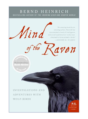 英文原版 Mind of the Raven 渡鸦的智慧 佛蒙特大学生物系教授 Bernd Heinrich 英文版 进口英语原版书籍