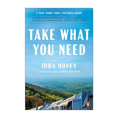 英文原版 Take What You Need 拿走你要的 女性小说 Idra Novey 英文版 进口英语原版书籍