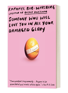 英文原版小说 Someone Who Will Love You in All Your Damaged Glory 一个爱你的人 英文版 进口英语原版书籍