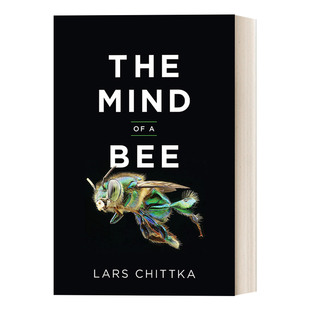 英文原版 进口英语原版 英文版 Bee The Chittka 思想 蜜蜂 Lars 精装 书籍 Mind