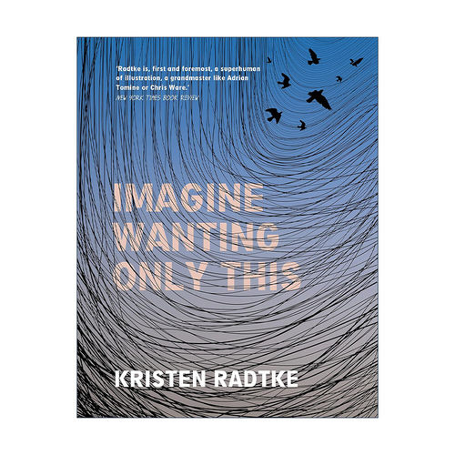 英文原版 Imagine Wanting Only This 此心唯念墟 Kristen Radtke漫画 精装 美国废墟风 英文版 进口英语原版书籍