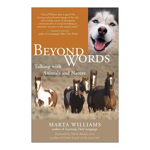 超越语言 与动物和自然对话 进口英语原版 Beyond 书籍 英文版 Words Williams 英文原版 Marta