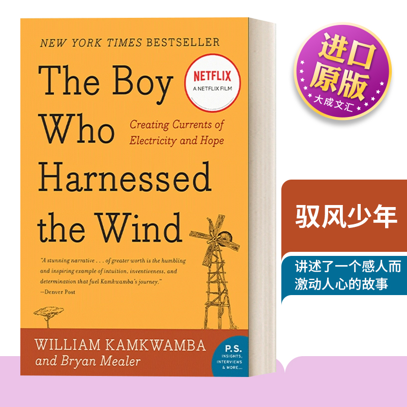 英文原版书籍驭风少年