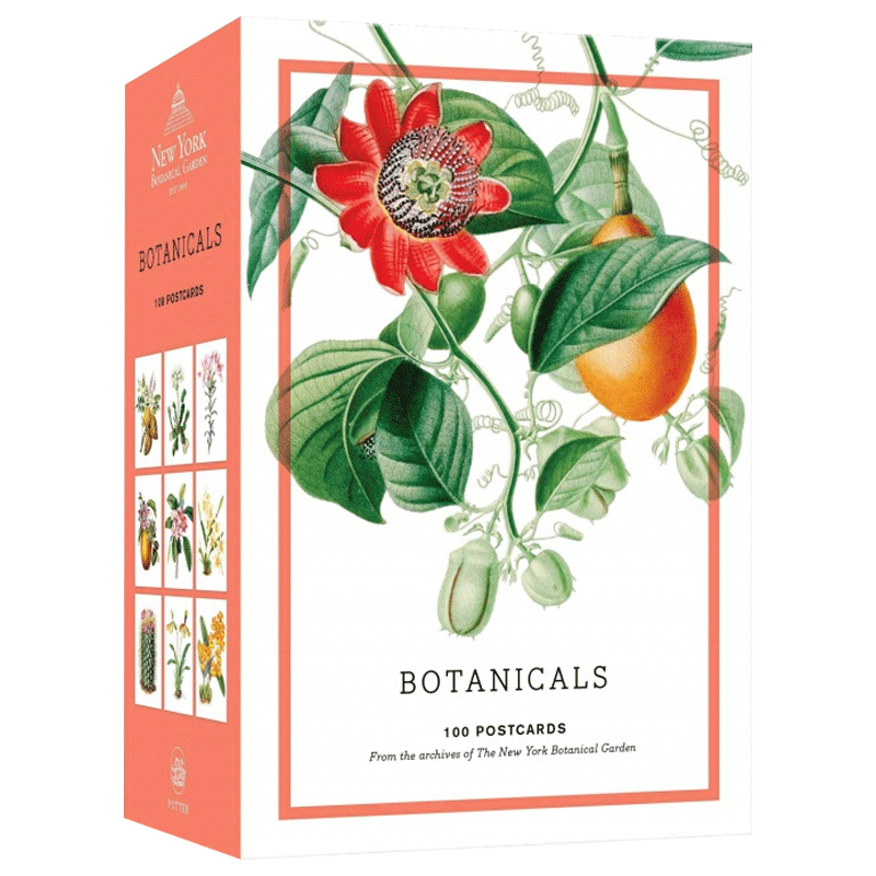 英文原版 100张植物学明信片收录 精装盒装 Botanicals 来自纽约植物园档案馆100幅稀有花卉、仙人掌和多肉植物的肖像汇集