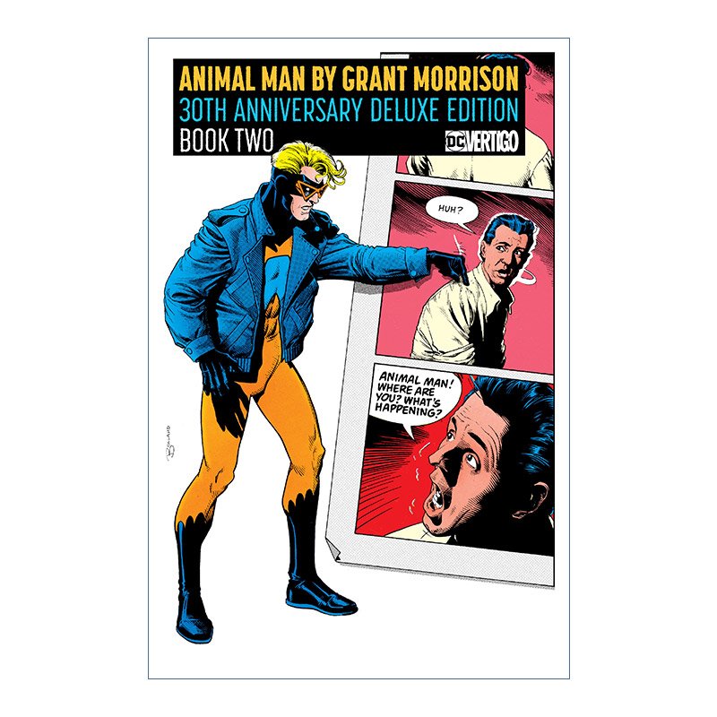 英文原版 Animal Man 30th Anniversary Deluxe Edition Book Two 动物侠 卷二 DC漫画 30周年精装豪华收藏版 Grant Morrison