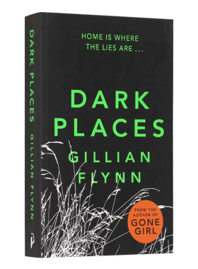 英文原版 Dark Places 黑暗之地 Gillian Flynn 虐心之作 英文版 进口英语原版书籍 英语小说